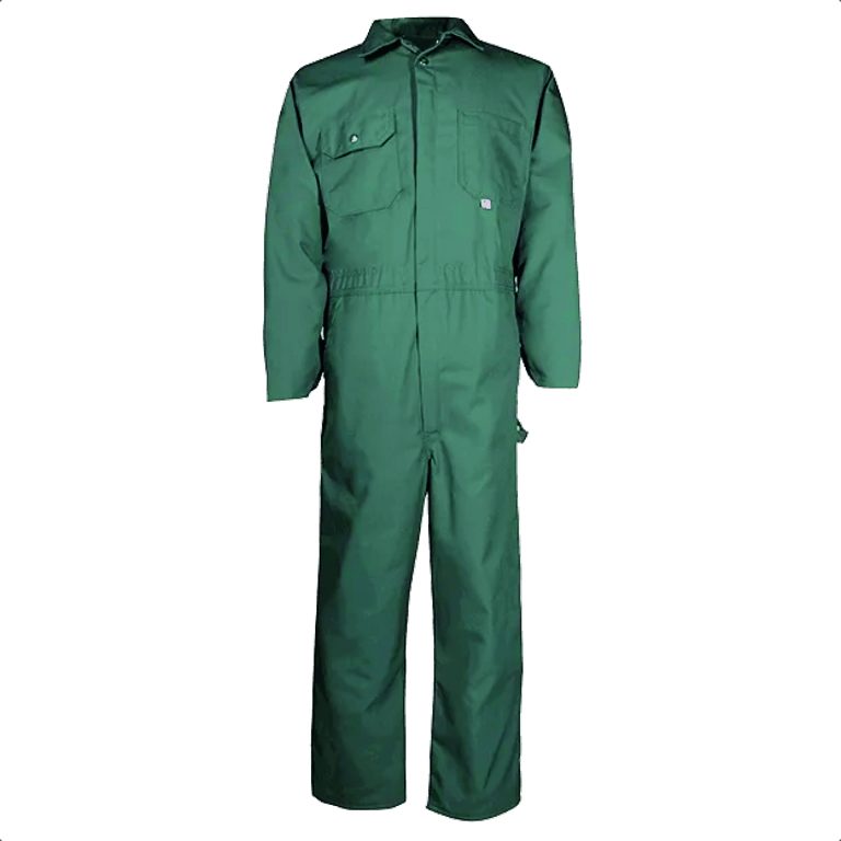 codet 429 green.jpeg