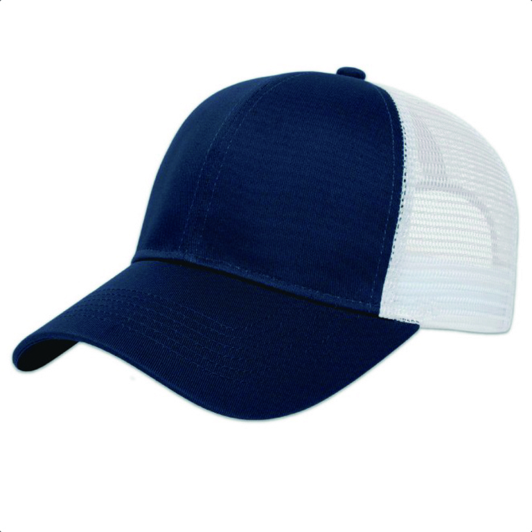 dml i3025 navy white.jpg