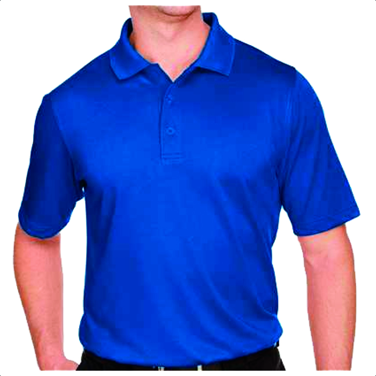 s-s polo m348 true royal m.jpeg