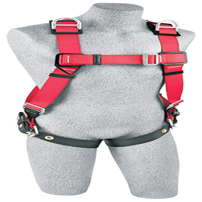 1191241C HARNESS.jpg